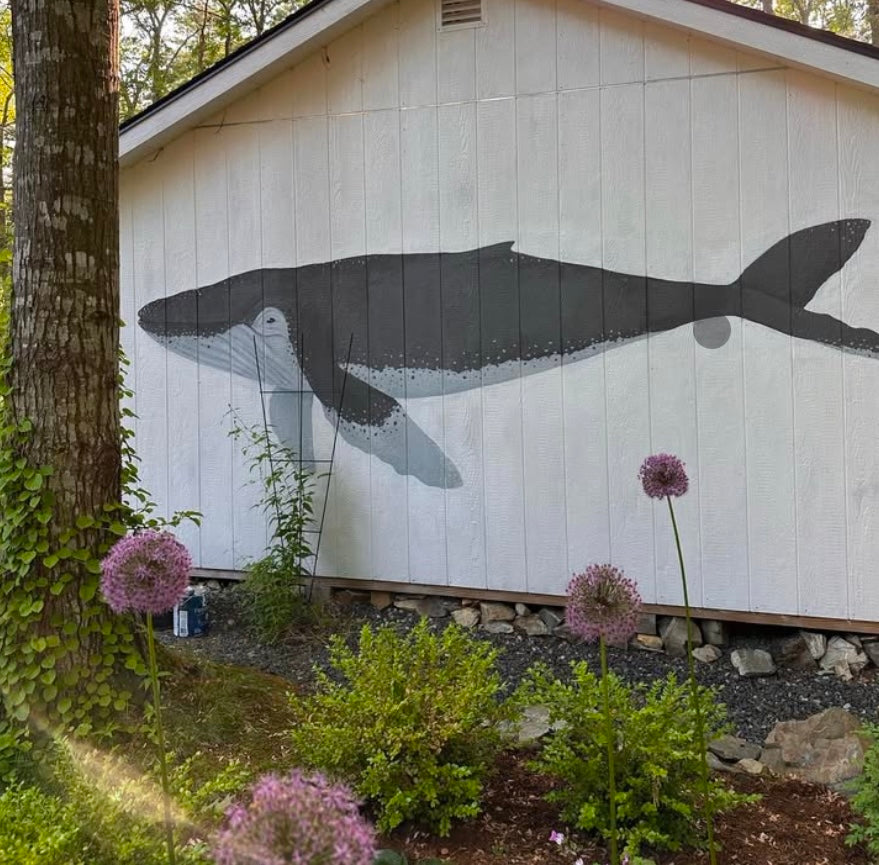 Whale Mural