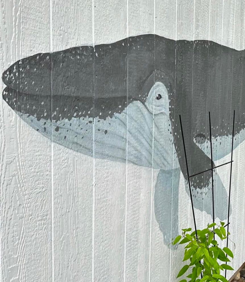 Whale Mural